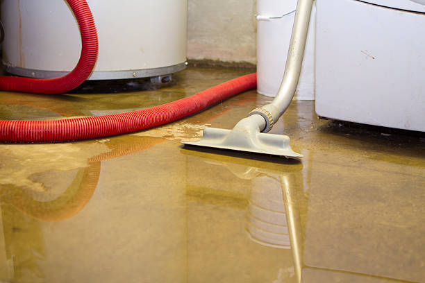 Trusted Water Damage Restoration in Eunice, NM | Fast, Reliable, and Ready to Assist You